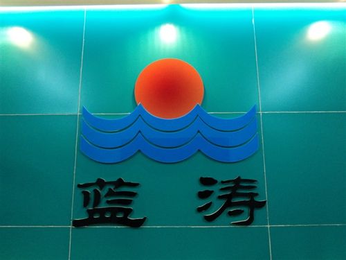 广州蓝涛电子科技